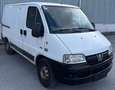 Peugeot Boxer TD (290 C) Weiß - thumbnail 2