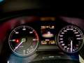 SEAT Leon ST XP 1.6 tdi cr Business High s&s 4drive Bronz - thumbnail 7