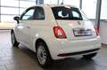Fiat 500 1.0 GSE Dolcevita *Navi*PDC*Klimaaut.*ALU* Weiß - thumbnail 3