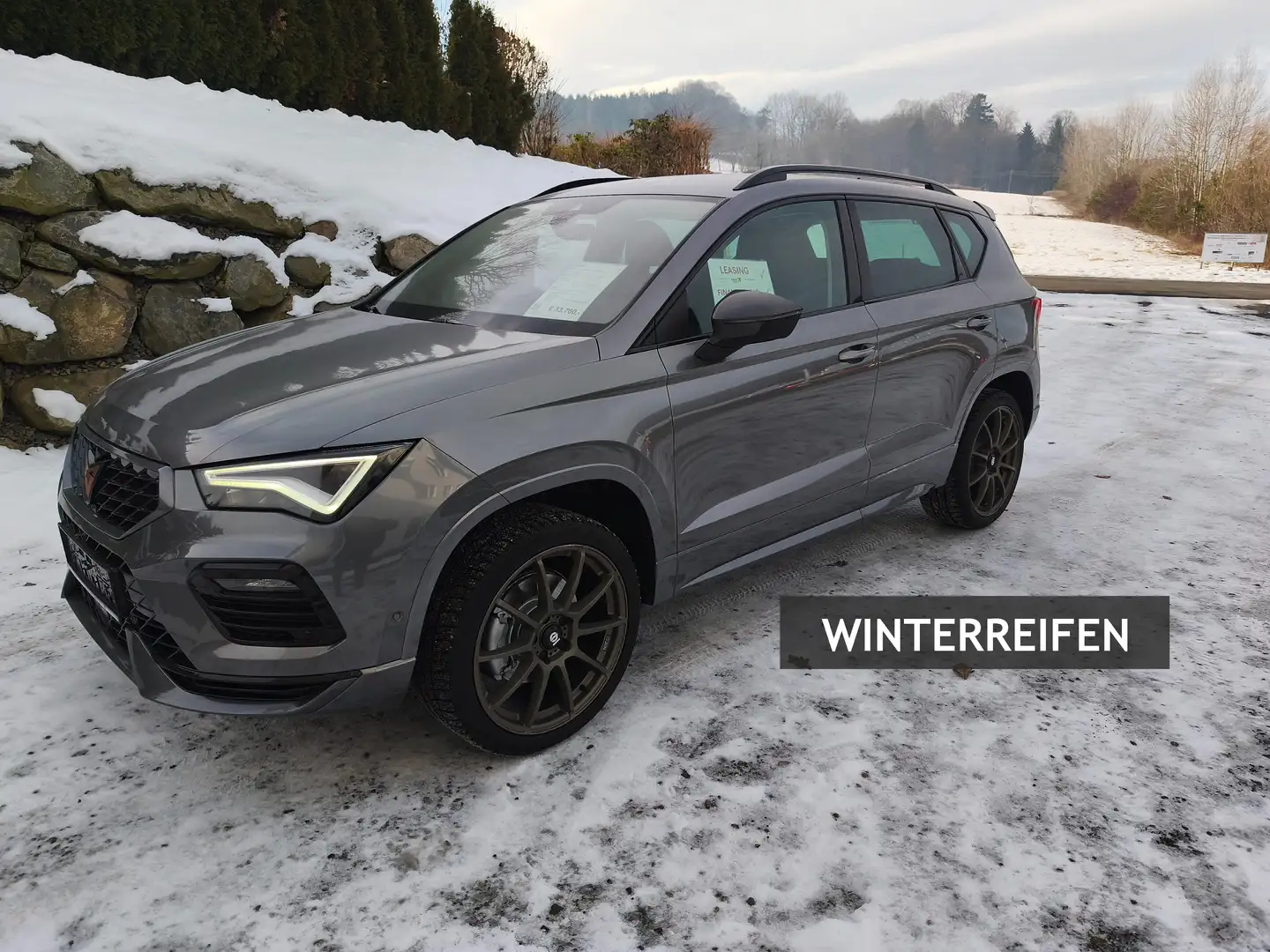 CUPRA Ateca Anhängevorr., Rückfahrkamera Grau - 2