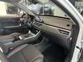 DR Automobiles DR5.0 dr 5.0 s3 1.5 Turbo CVT Bi-Fuel GPL *PROMO AZZURR Blanc - thumbnail 11