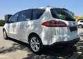 Ford S-Max 2.0 TDCi DPF Titanium - thumbnail 13
