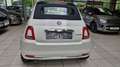 Fiat 500 Cabrio 1,0Hybrid70 Dolcevita Weiß - thumbnail 6