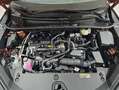 Lexus LBX 1.5 136cv HEV Elegant Black Marrón - thumbnail 43
