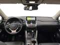 Lexus NX 300h I 2018 300h 2.5 Premium 4wd cvt Bianco - thumbnail 12