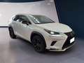 Lexus NX 300h I 2018 300h 2.5 Premium 4wd cvt Bianco - thumbnail 3