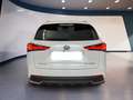 Lexus NX 300h I 2018 300h 2.5 Premium 4wd cvt Bianco - thumbnail 5