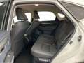 Lexus NX 300h I 2018 300h 2.5 Premium 4wd cvt Bianco - thumbnail 10