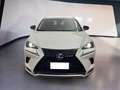 Lexus NX 300h I 2018 300h 2.5 Premium 4wd cvt Bianco - thumbnail 1
