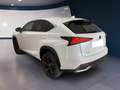 Lexus NX 300h I 2018 300h 2.5 Premium 4wd cvt Bianco - thumbnail 6