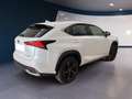 Lexus NX 300h I 2018 300h 2.5 Premium 4wd cvt Bianco - thumbnail 4