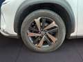 Lexus NX 300h I 2018 300h 2.5 Premium 4wd cvt Bianco - thumbnail 7