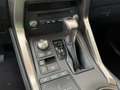 Lexus NX 300h I 2018 300h 2.5 Premium 4wd cvt Bianco - thumbnail 15