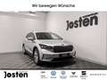 Skoda Enyaq 50 Loft NAVI ACC LED PDC RFK SITZHZG Silber - thumbnail 1