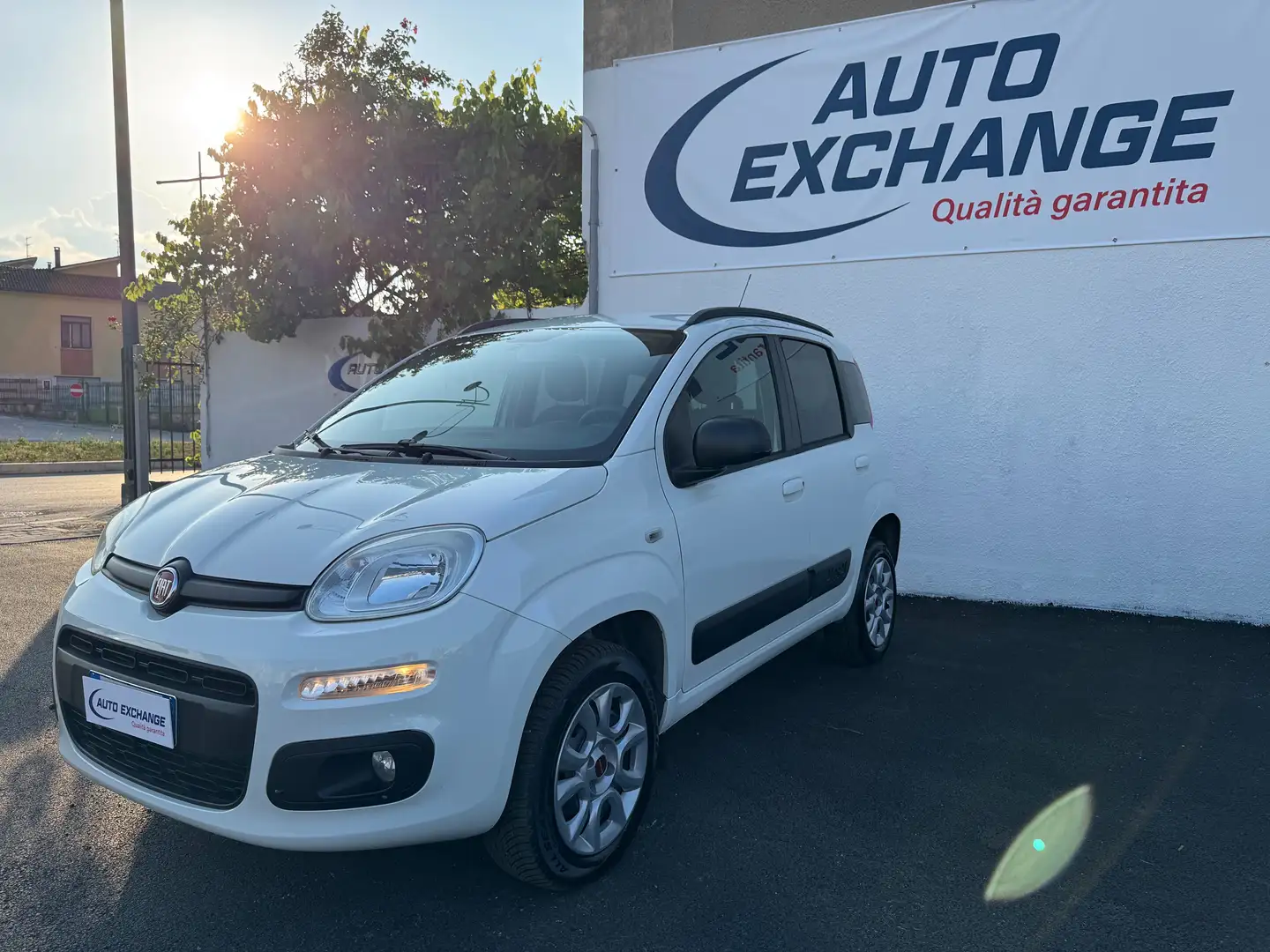 Fiat New Panda 4×4 Alb - 1