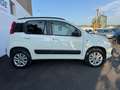 Fiat New Panda 4×4 Alb - thumbnail 4