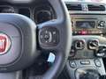 Fiat New Panda 4×4 Alb - thumbnail 14
