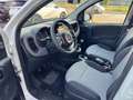 Fiat New Panda 4×4 Alb - thumbnail 10