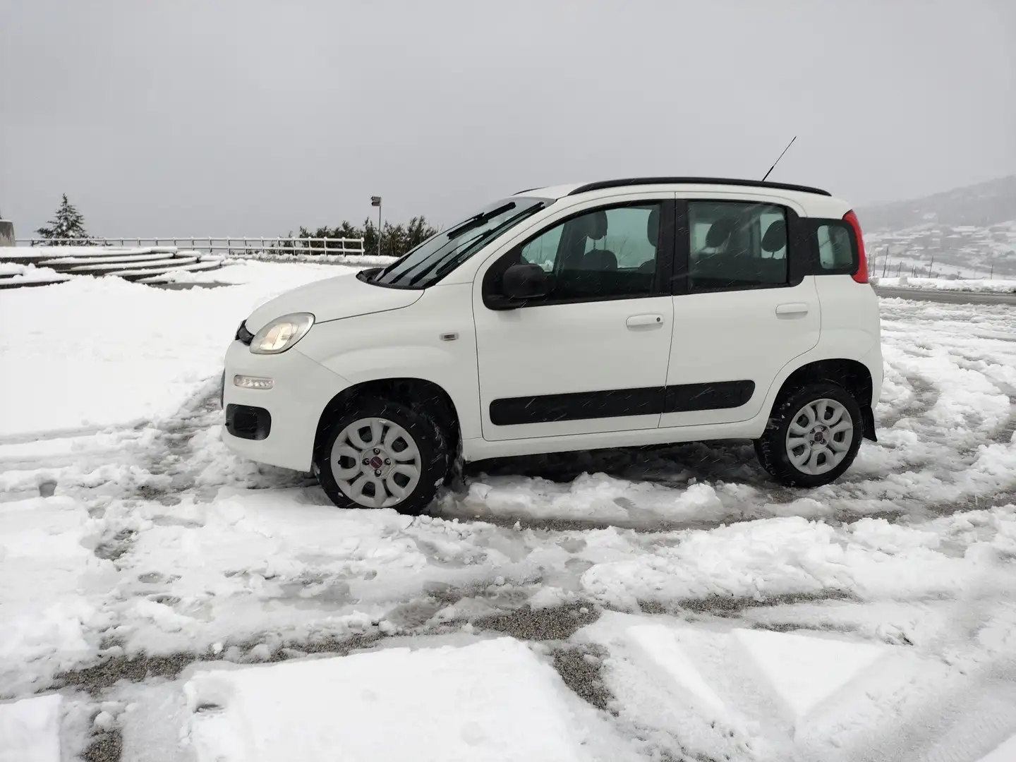 Fiat New Panda 4×4 Alb - 2