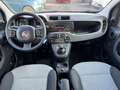 Fiat New Panda 4×4 Alb - thumbnail 12