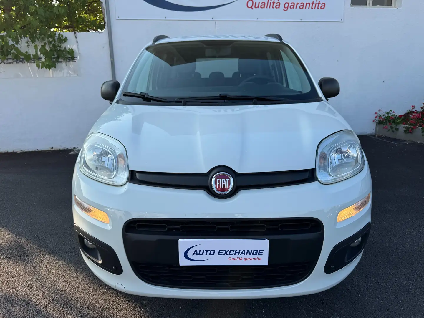 Fiat New Panda 4×4 Alb - 2