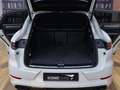 Porsche Cayenne E-Hybrid Platinum Edition Blanc - thumbnail 8
