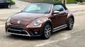 Volkswagen Beetle Beetle Cabriolet 1.4 TSI DSG automaat Dune uitv Brun - thumbnail 16
