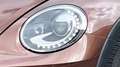 Volkswagen Beetle Beetle Cabriolet 1.4 TSI DSG automaat Dune uitv Brun - thumbnail 15