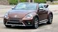 Volkswagen Beetle Beetle Cabriolet 1.4 TSI DSG automaat Dune uitv Brun - thumbnail 1