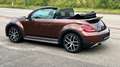 Volkswagen Beetle Beetle Cabriolet 1.4 TSI DSG automaat Dune uitv Brun - thumbnail 4