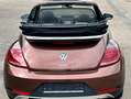 Volkswagen Beetle Beetle Cabriolet 1.4 TSI DSG automaat Dune uitv Brun - thumbnail 6