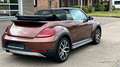 Volkswagen Beetle Beetle Cabriolet 1.4 TSI DSG automaat Dune uitv Brun - thumbnail 7