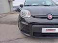 Fiat Panda Panda 1.0 firefly hybrid s&s 70cv 5p.ti Schwarz - thumbnail 18