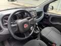 Fiat Panda Panda 1.0 firefly hybrid s&s 70cv 5p.ti Schwarz - thumbnail 20