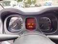 Fiat Panda Panda 1.0 firefly hybrid s&s 70cv 5p.ti Schwarz - thumbnail 22