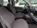 Fiat Panda Panda 1.0 firefly hybrid s&s 70cv 5p.ti Schwarz - thumbnail 24