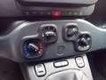 Fiat Panda Panda 1.0 firefly hybrid s&s 70cv 5p.ti Schwarz - thumbnail 10