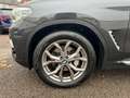BMW X3 xD 25 d Aut. xLine LED/AHK/PANO/NAVI+/HIFI Gris - thumbnail 9