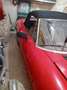 Alfa Romeo Spider 1.6 - thumbnail 12