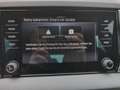 Skoda Karoq Selection TDI DSG Schwarz - thumbnail 20