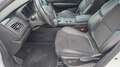 Renault Talisman 1.6 dCi 160 EDC6 Intens Blanc - thumbnail 34
