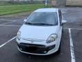 Fiat Punto Evo Punto Evo 5p 1.4 natural power Emotion 70cv Bianco - thumbnail 1