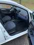 Fiat Punto Evo Punto Evo 5p 1.4 natural power Emotion 70cv Bianco - thumbnail 13