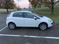 Fiat Punto Evo Punto Evo 5p 1.4 natural power Emotion 70cv Bianco - thumbnail 4