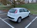 Fiat Punto Evo Punto Evo 5p 1.4 natural power Emotion 70cv Bianco - thumbnail 5