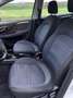 Fiat Punto Evo Punto Evo 5p 1.4 natural power Emotion 70cv Bianco - thumbnail 12