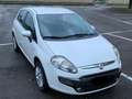 Fiat Punto Evo Punto Evo 5p 1.4 natural power Emotion 70cv Bianco - thumbnail 2