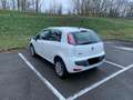 Fiat Punto Evo Punto Evo 5p 1.4 natural power Emotion 70cv Bianco - thumbnail 7