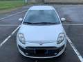 Fiat Punto Evo Punto Evo 5p 1.4 natural power Emotion 70cv Bianco - thumbnail 3