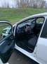 Fiat Punto Evo Punto Evo 5p 1.4 natural power Emotion 70cv Bianco - thumbnail 14
